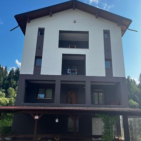 Cazare Luxandra Borşa Extérieur photo