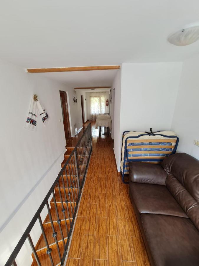Cazare Luxandra Borşa Extérieur photo
